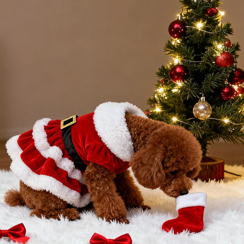 Santa Paws Dress