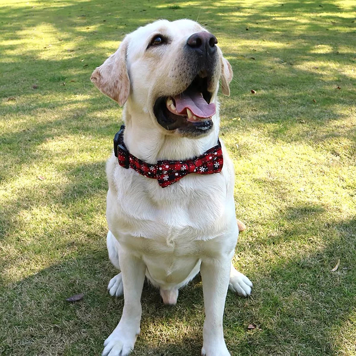 Snowflake Plaid Bow Collar