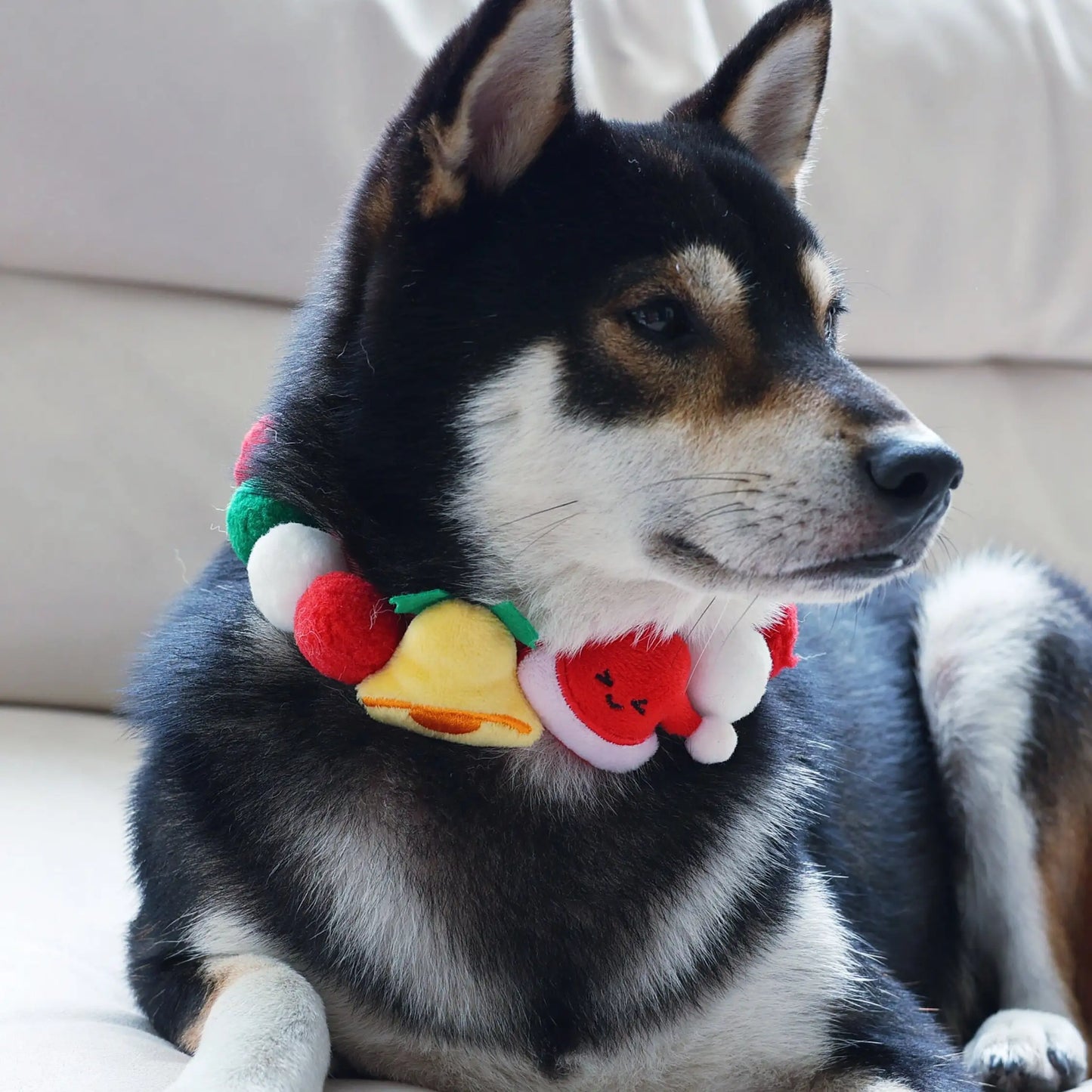 Festive Bandana Collar